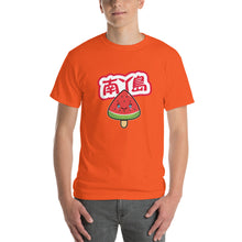 Load image into Gallery viewer, LAMMA Watermelon