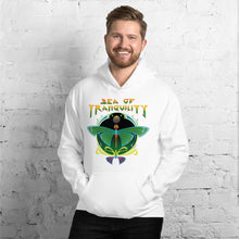 Load image into Gallery viewer, SoT &lt;br/&gt;&#39;Dragonfly&#39; &lt;br/&gt;Hoodie